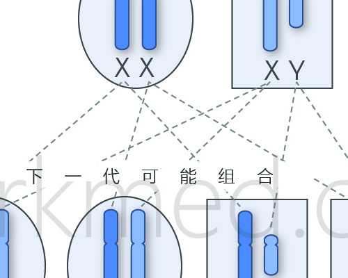 国内代生机构代妈,宫腹腔镜手术后多久可以胚胎移植，宫腹腔镜手术后胚胎移植的最佳时间和注意事项